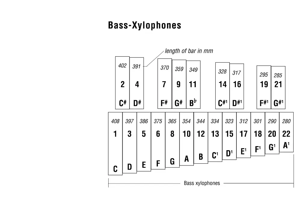 E_xylophones Bass.webp