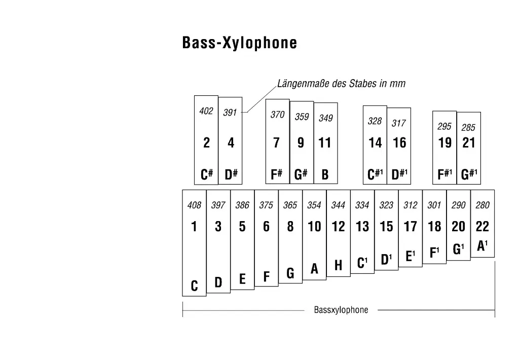 D_Xylophone Bass.webp