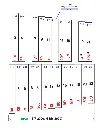 Metal_2000_Internet_bass_Do_page1.webp