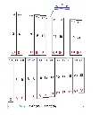 Metal_2000_Internet_bass_D_page1.webp
