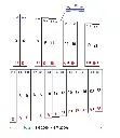 Metal_2000_Internet_bass_E_page1.webp
