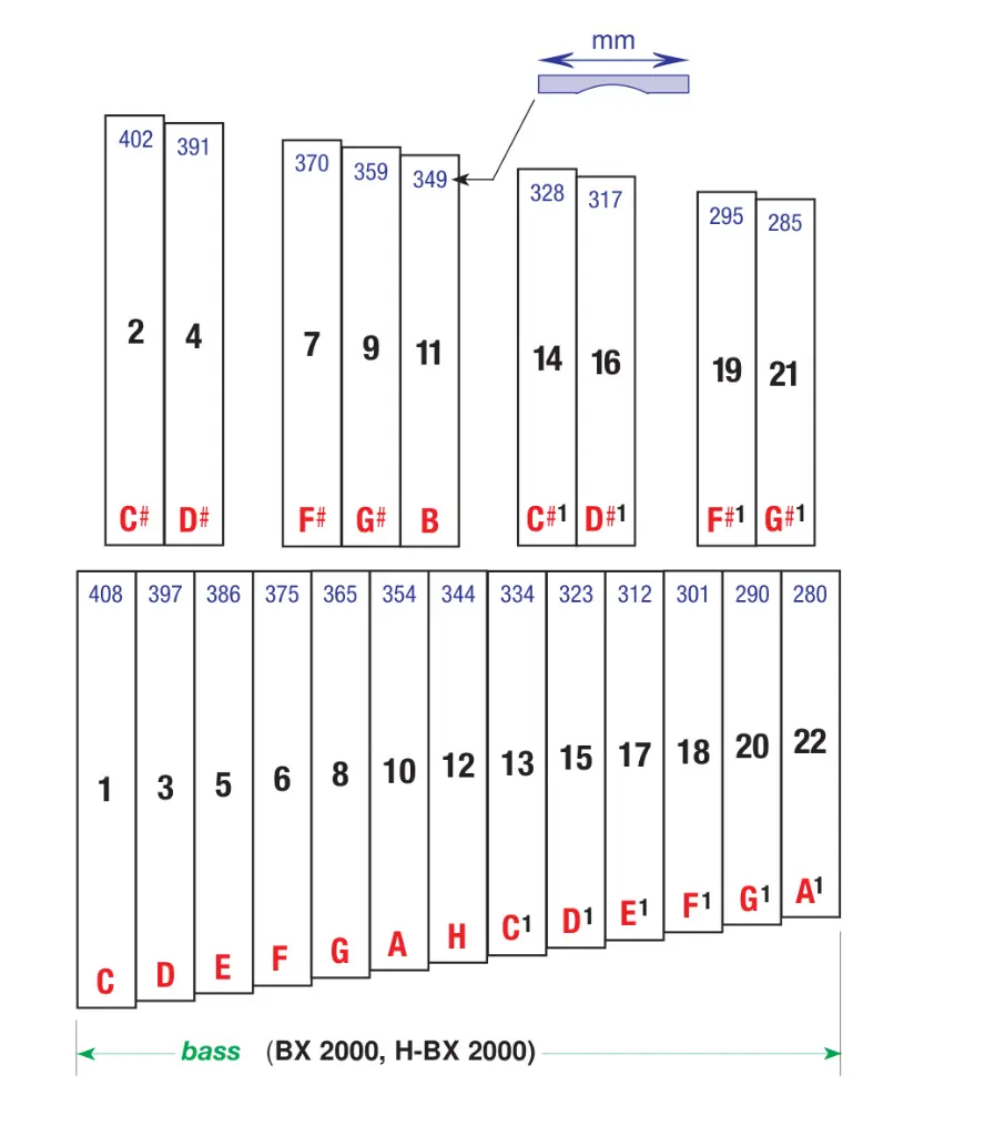 Xylo_2000_Internet_bass_D_page1.webp