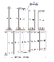 Xylo_2000_Internet_bass_D_page1.webp