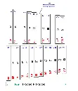 Xylo_2000G_Internet_bass_Do_page1.webp