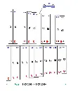 Xylo_2000G_Internet_bass_E_page1.webp