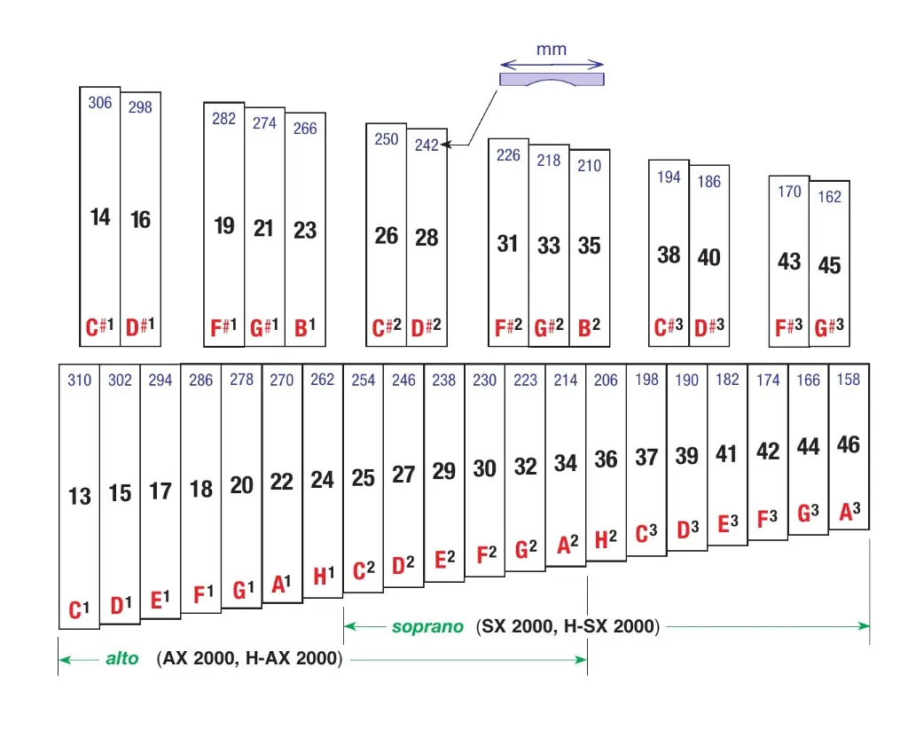 Xylo_2000_Internet_Sopalt_D.webp