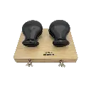 RCA2_2.webp