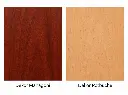 Mahagoni-Rotbuche.webp