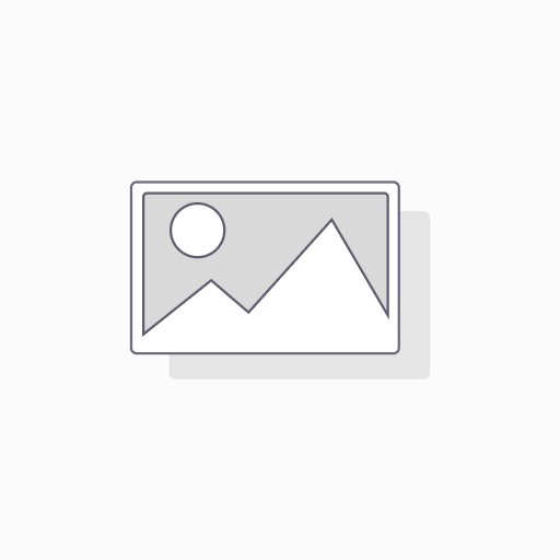 Scraper für Guiro und Guiro-Shaker