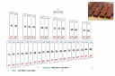 (X-01) Ersatzstab für Xylophon, Palisander, alt & sopran, 32 x 18 mm